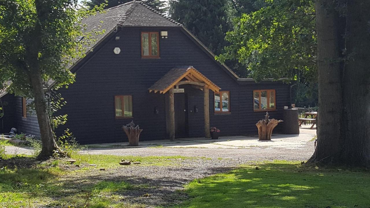 Oakside Lodge Guest House Canterbury Eksteriør billede