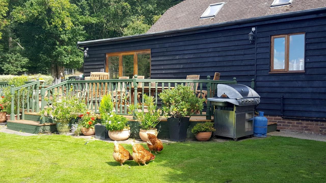 Oakside Lodge Guest House Canterbury Eksteriør billede